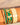 Jonc Bangle Vert Arcadia Bangle Up Taiwan 台灣 linedite.com.tw