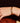 racelet Lily Bleu Nuit Bangle Up Taiwan 台灣 linedite.com.tw